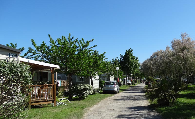 Eden Camping Languedoc-Rosellón - Lattes visuel 11/11 Eden Camping Languedoc-Rosellón - Lattes visuel 11/11