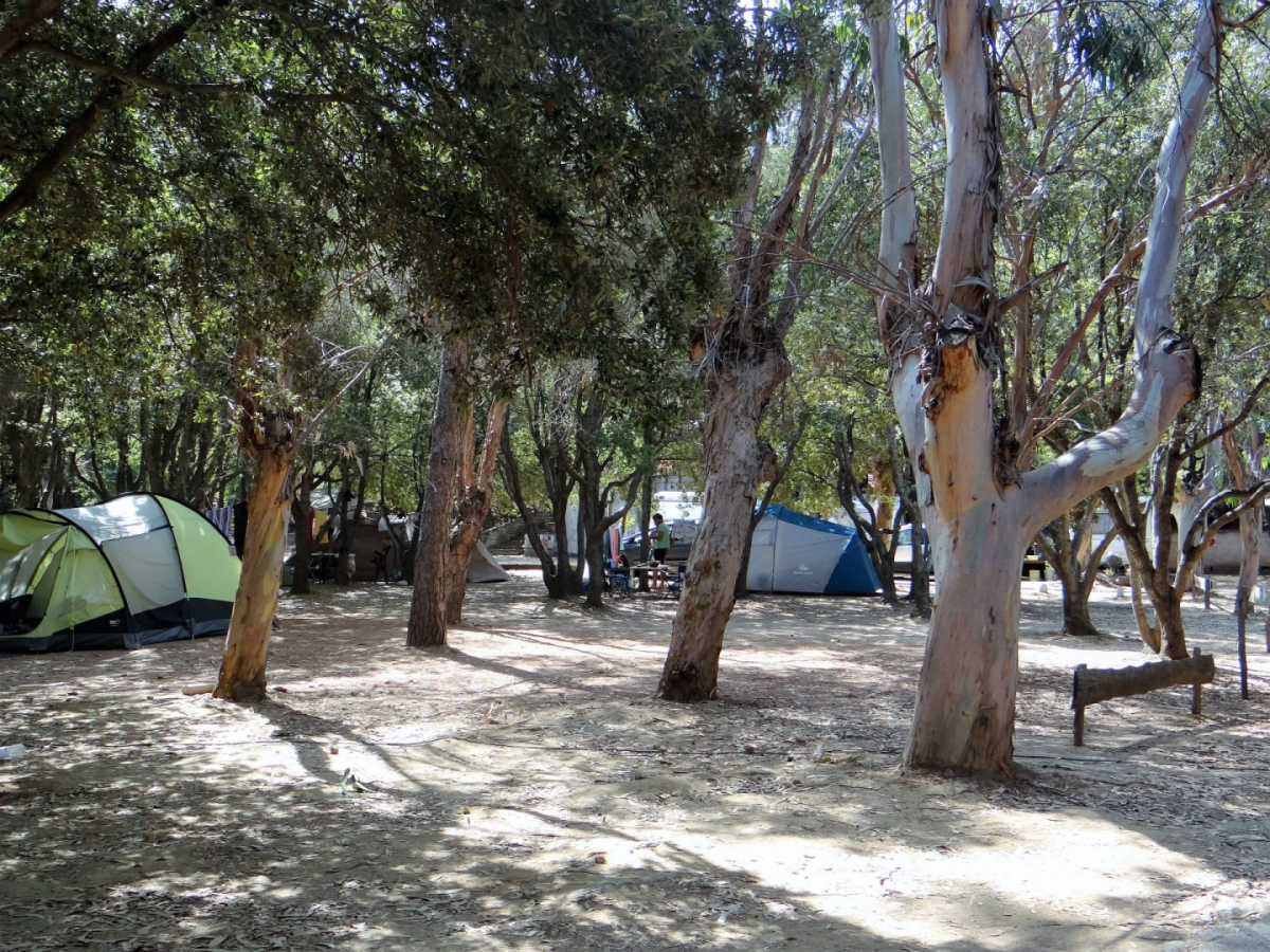 A Stella Córcega - Farinole visuel 2/4