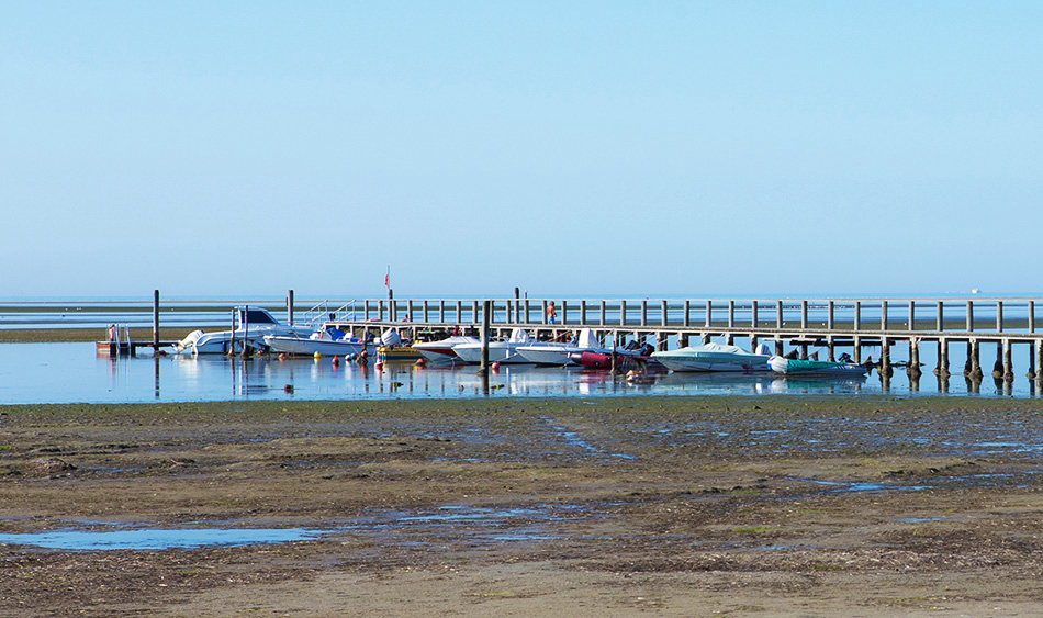 Al Bosco Friul-Venecia Julia - Grado visuel 2/3 Al Bosco Friul-Venecia Julia - Grado visuel 2/3