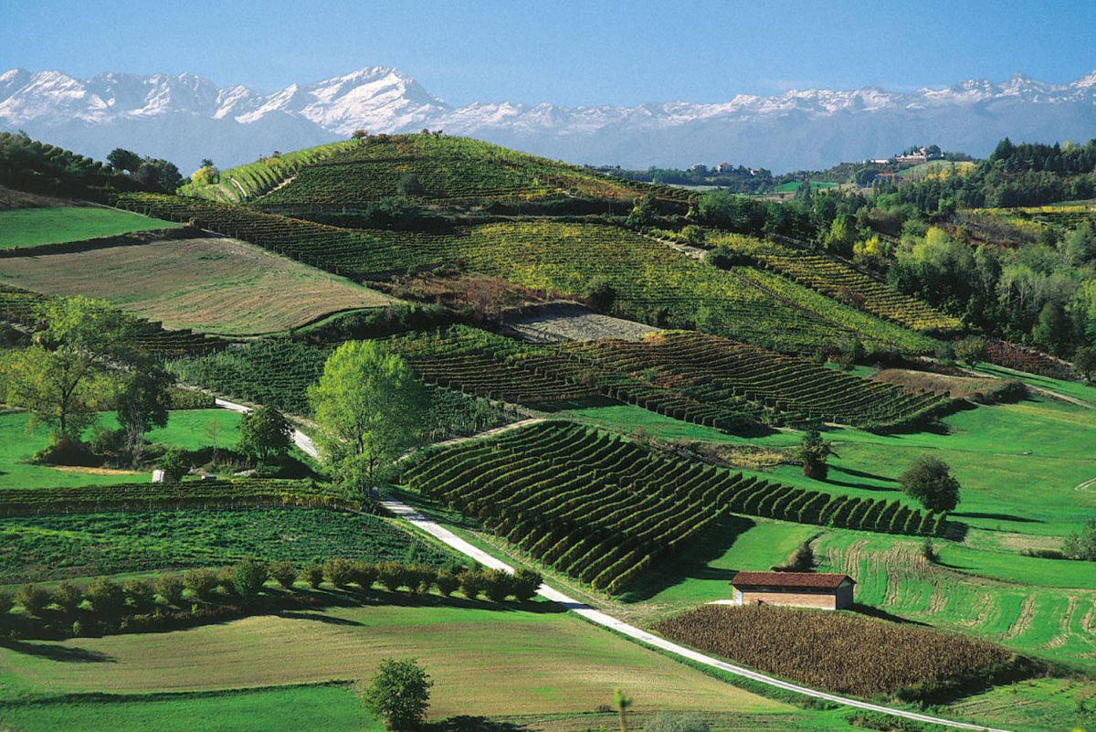 Alba Village Piamonte - Alba visuel 8/9