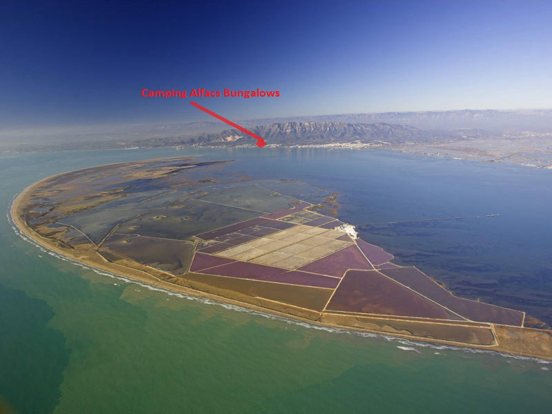 Alfacs Costa Dorada - Alcanar visuel 5/8 Alfacs Costa Dorada - Alcanar visuel 5/8