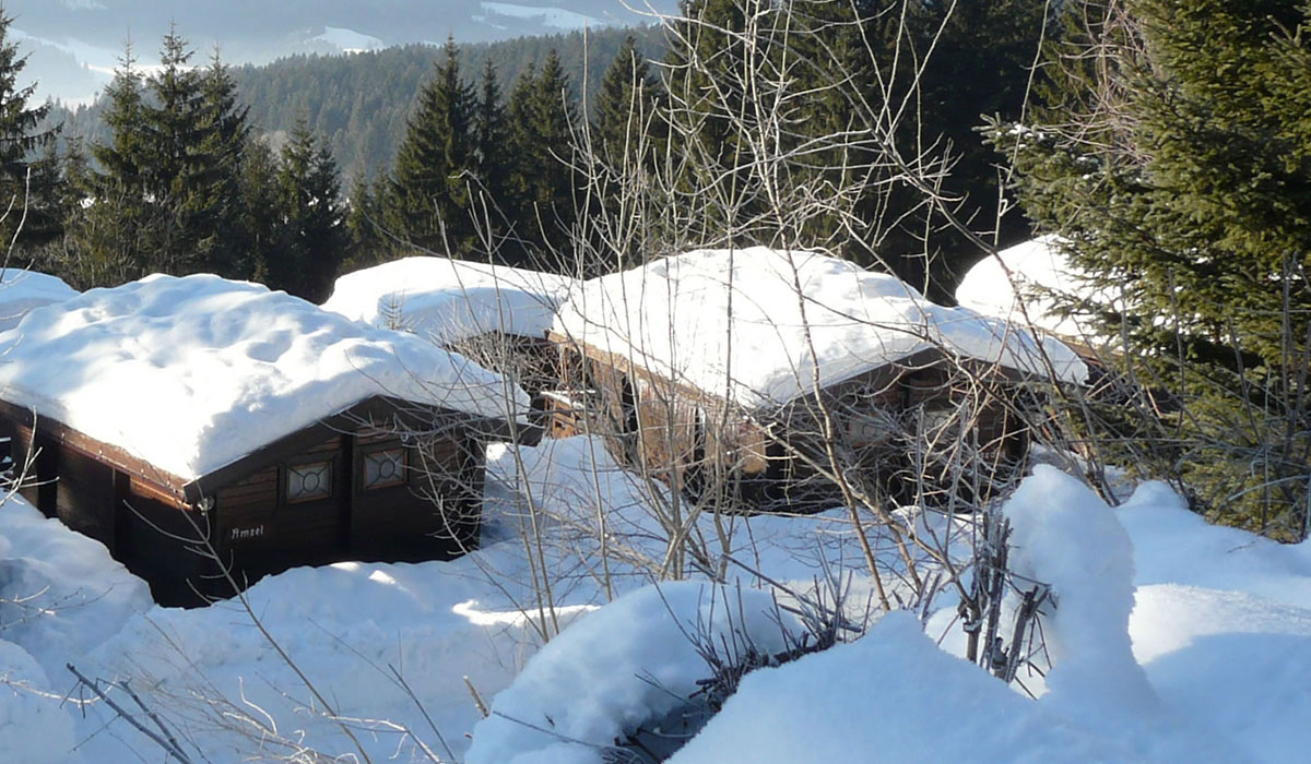 Alpenferien Park Carintia - Kirchbach visuel 3/3