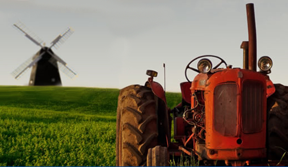 Am See Mecklemburgo-Pomerania Occidental - alt schwerin visuel 3/3