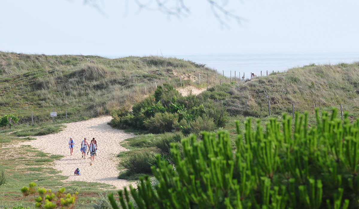 Antioche Poitou-Charentes - Le Bois-Plage-en-Ré visuel 22/22