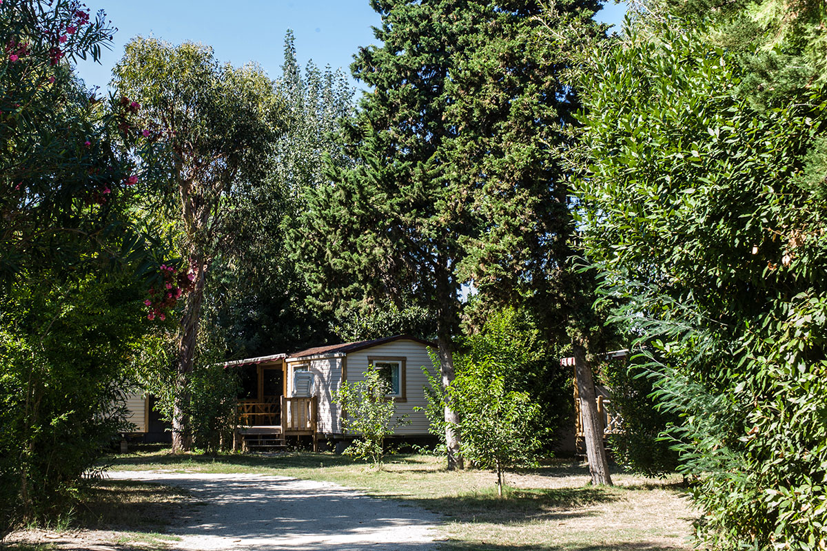 Arinella Bianca Córcega - Ghisonaccia visuel 14/17