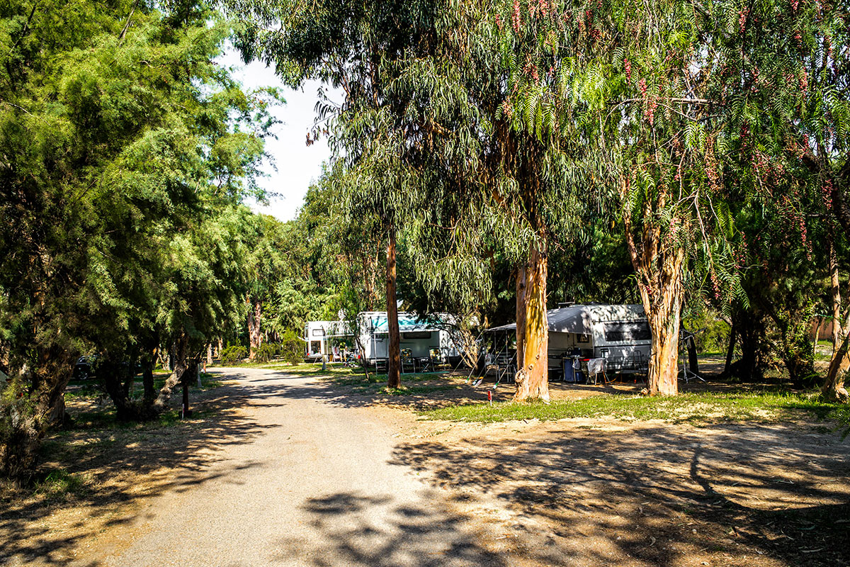 Arinella Bianca Córcega - Ghisonaccia visuel 17/17