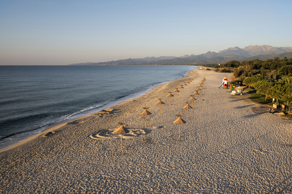 Arinella Bianca Córcega - Ghisonaccia visuel 11/17