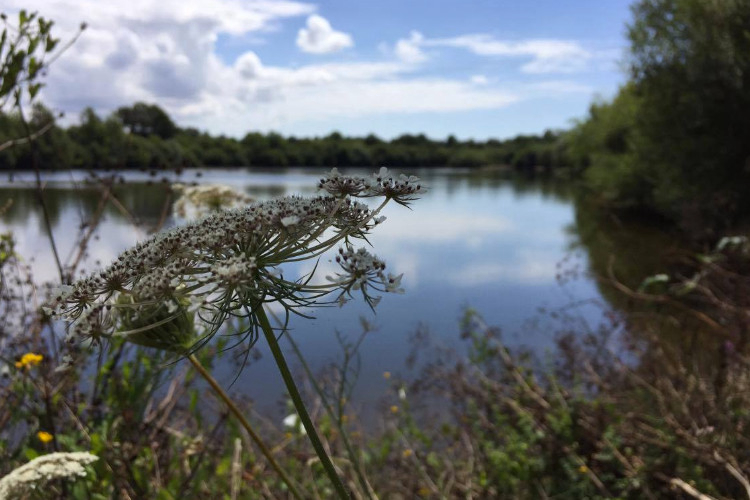 Au Pré de l'Etang Países del Loira - Sainte-Foy visuel 3/6 Au Pré de l'Etang Países del Loira - Sainte-Foy visuel 3/6