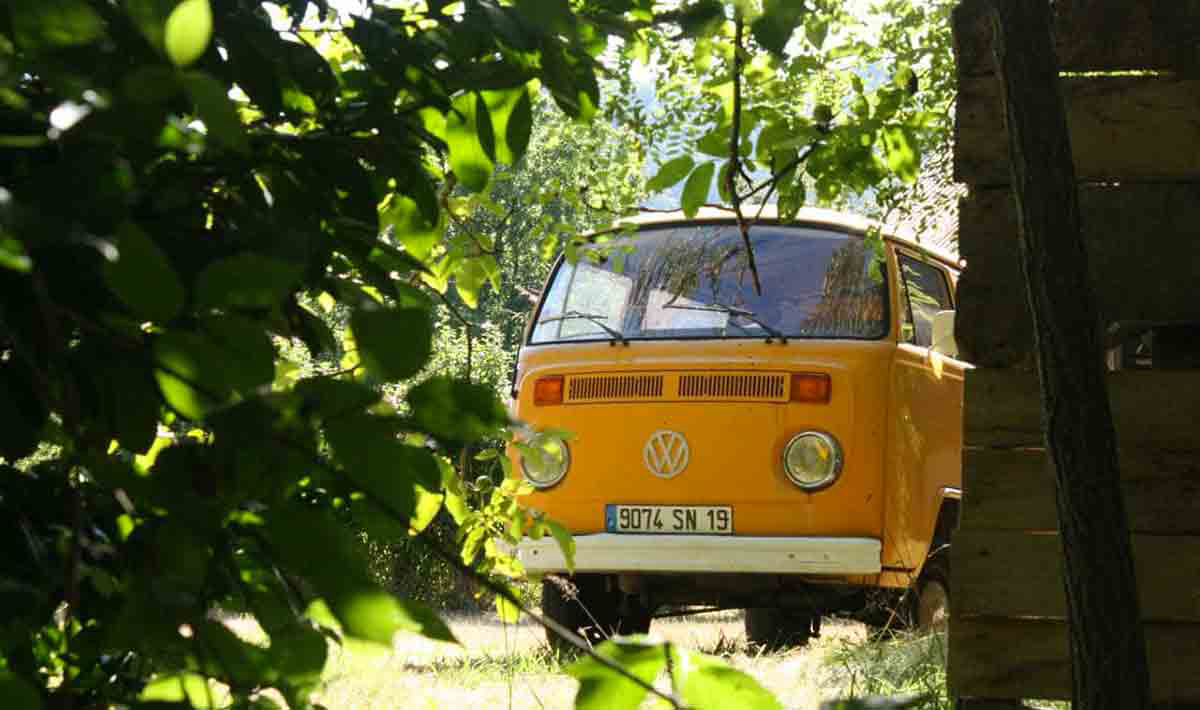 Au Soleil d'Oc Limosín - Monceaux-sur-Dordogne visuel 8/9 Au Soleil d'Oc Limosín - Monceaux-sur-Dordogne visuel 8/9