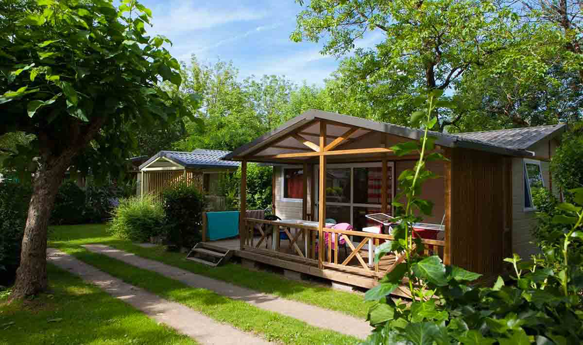 Au Soleil d'Oc Limosín - Monceaux-sur-Dordogne visuel 2/9 Au Soleil d'Oc Limosín - Monceaux-sur-Dordogne visuel 2/9