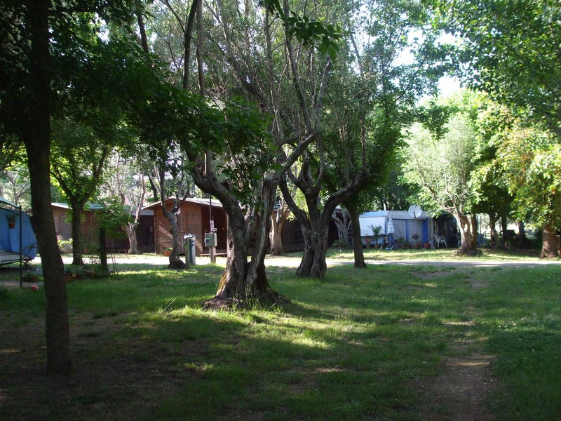 Azzurro Toscana - Bracciano visuel 6/11