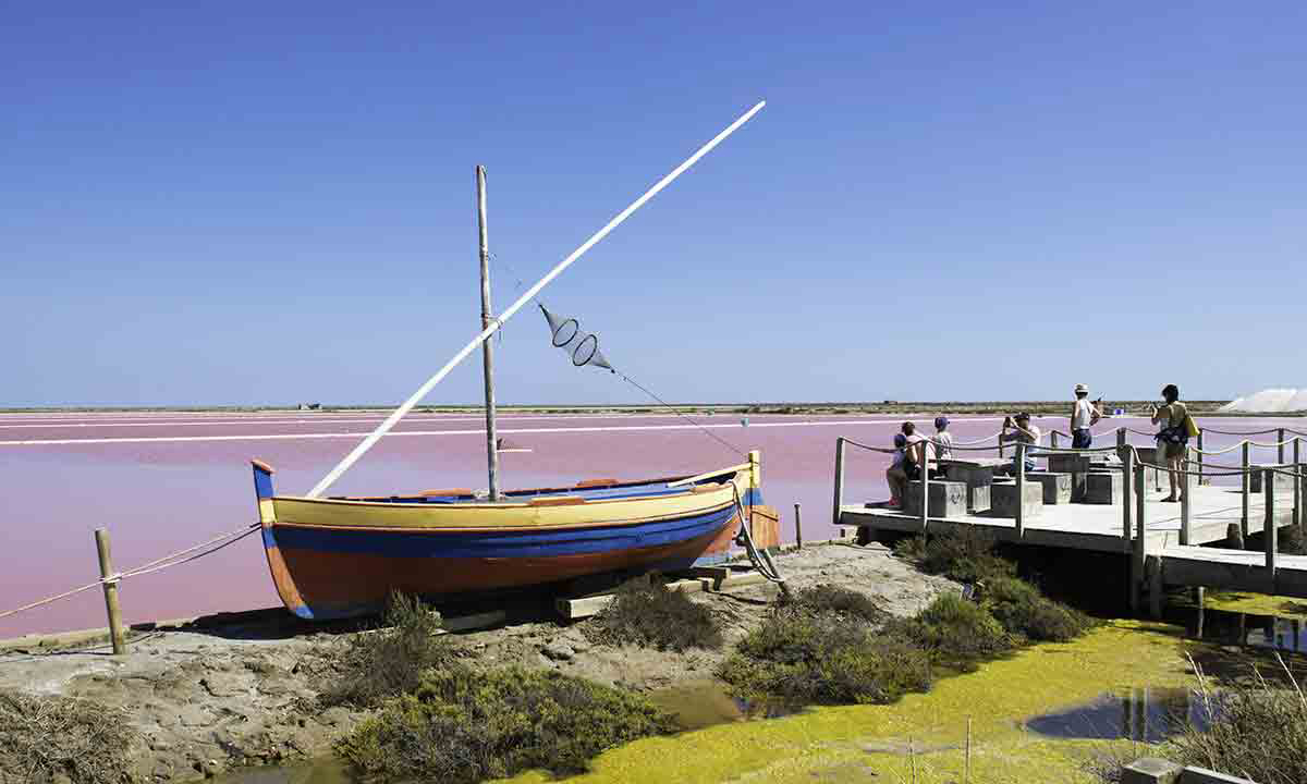 Barberousse Languedoc-Rosellón - Gruissan visuel 3/12 Barberousse Languedoc-Rosellón - Gruissan visuel 3/12