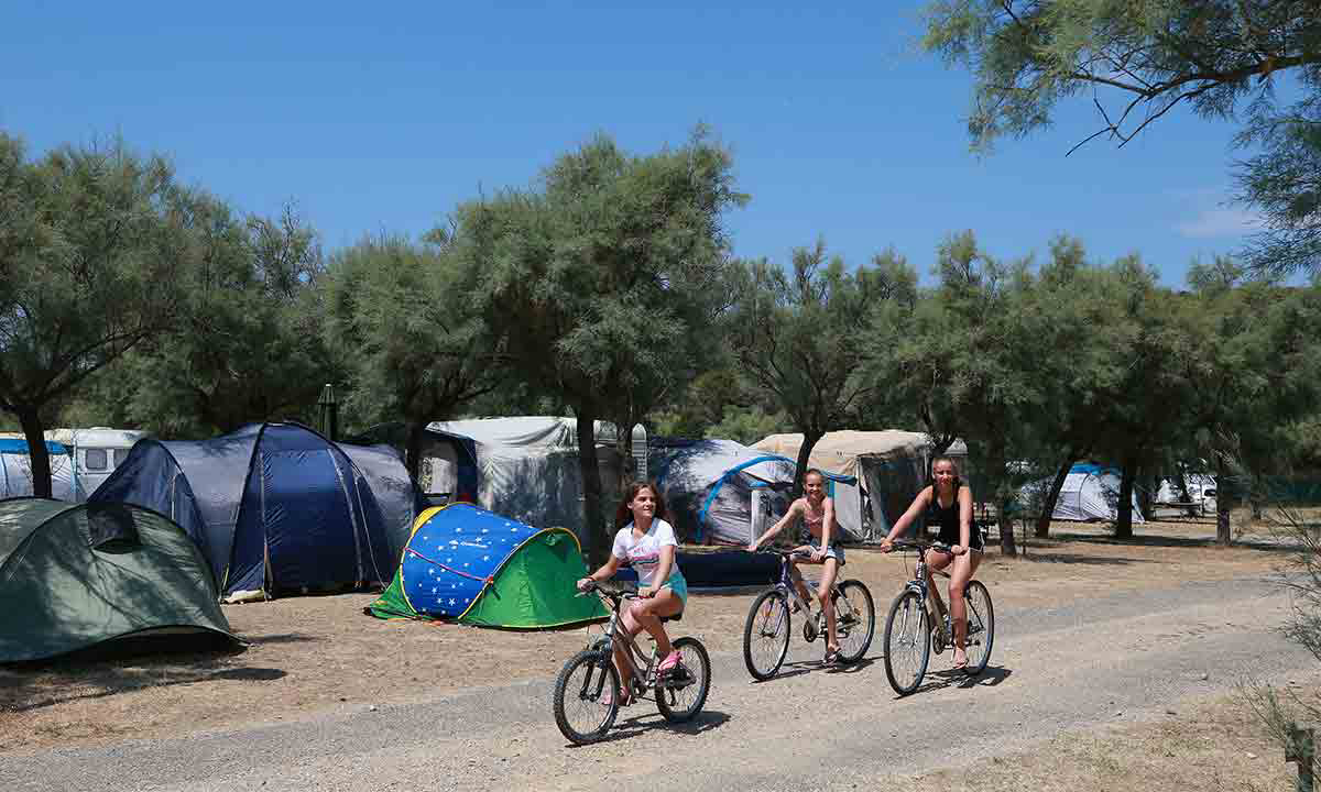 Barberousse Languedoc-Rosellón - Gruissan visuel 10/12 Barberousse Languedoc-Rosellón - Gruissan visuel 10/12