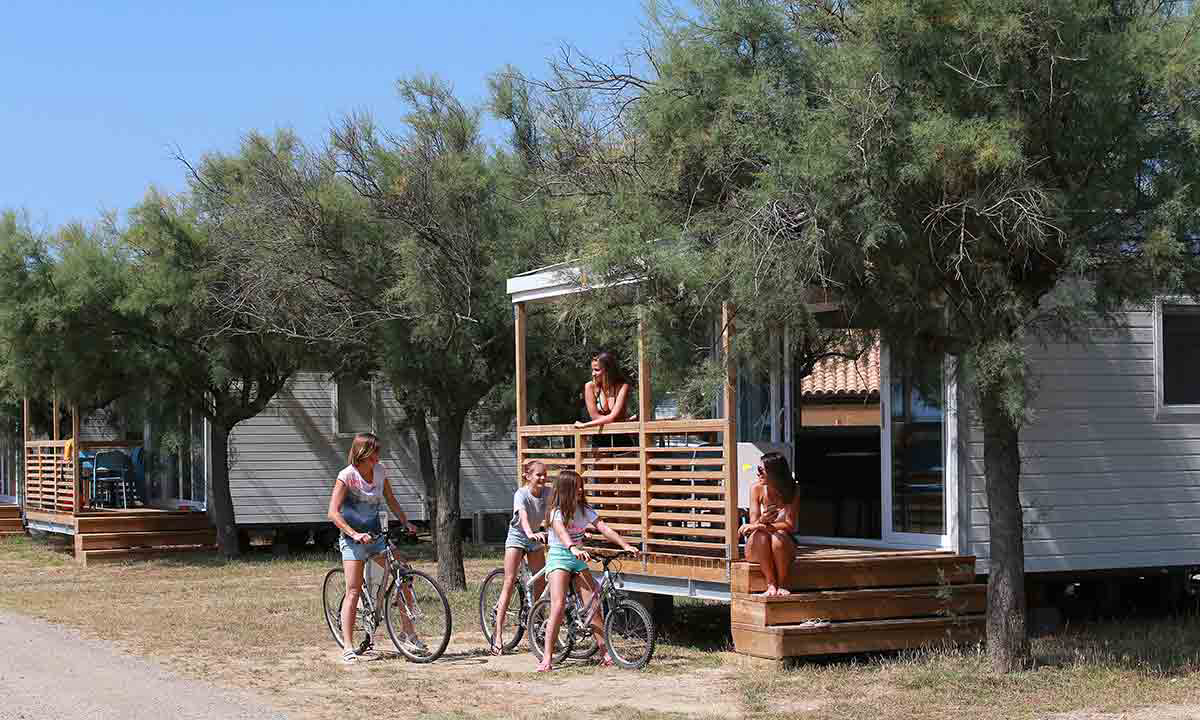 Barberousse Languedoc-Rosellón - Gruissan visuel 8/12 Barberousse Languedoc-Rosellón - Gruissan visuel 8/12