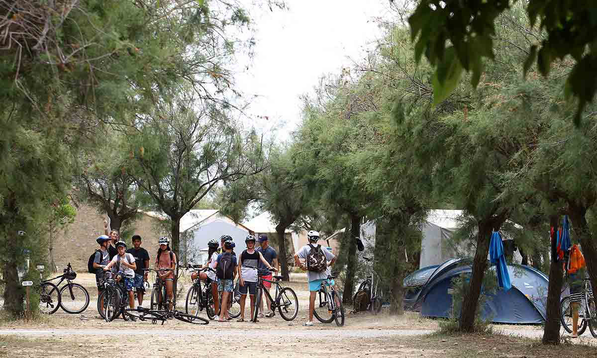 Barberousse Languedoc-Rosellón - Gruissan visuel 9/12 Barberousse Languedoc-Rosellón - Gruissan visuel 9/12