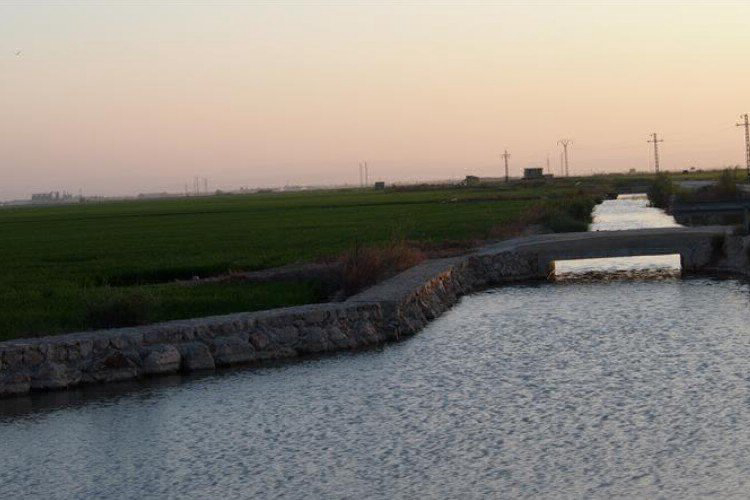 Barraquetes Comunidad Valenciana - Sueca visuel 4/4 Barraquetes Comunidad Valenciana - Sueca visuel 4/4