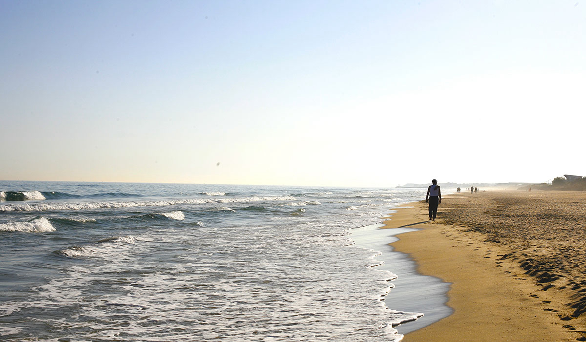 Beauregard Plage Languedoc-Rosellón - Marseillan visuel 2/8