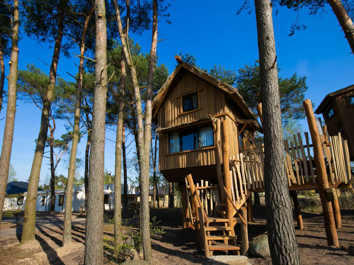 Beekse Bergen Brabante Septentrional - Hilvarenbeek visuel 5/7