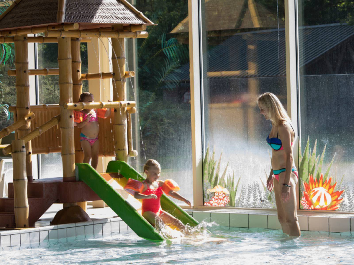 Beekse Bergen Brabante Septentrional - Hilvarenbeek visuel 3/7