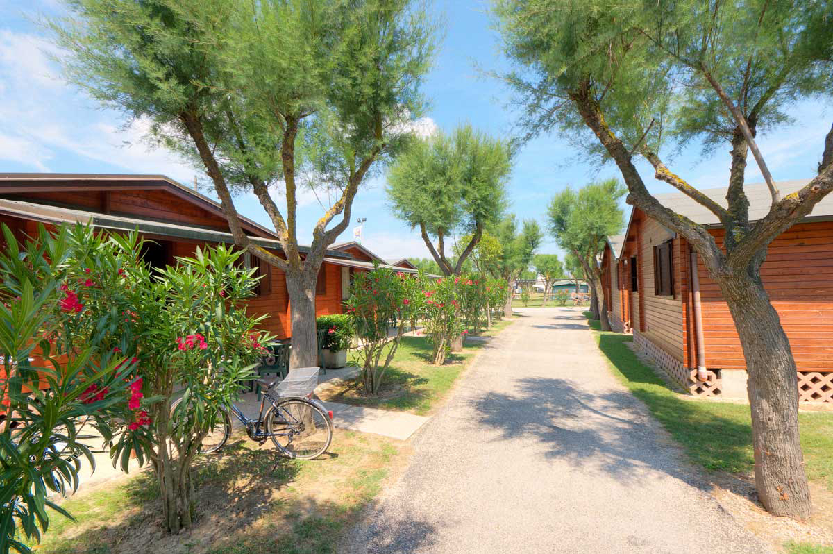 Bellamare Marcas - Porto Recanati visuel 3/3