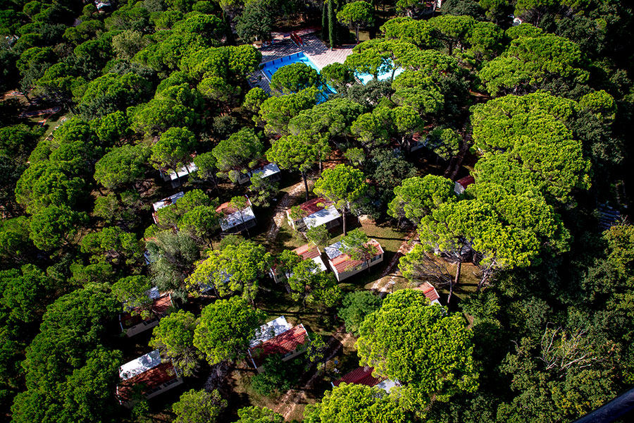 Belvedere Pineta Véneto - Grado visuel 5/11 Belvedere Pineta Véneto - Grado visuel 5/11