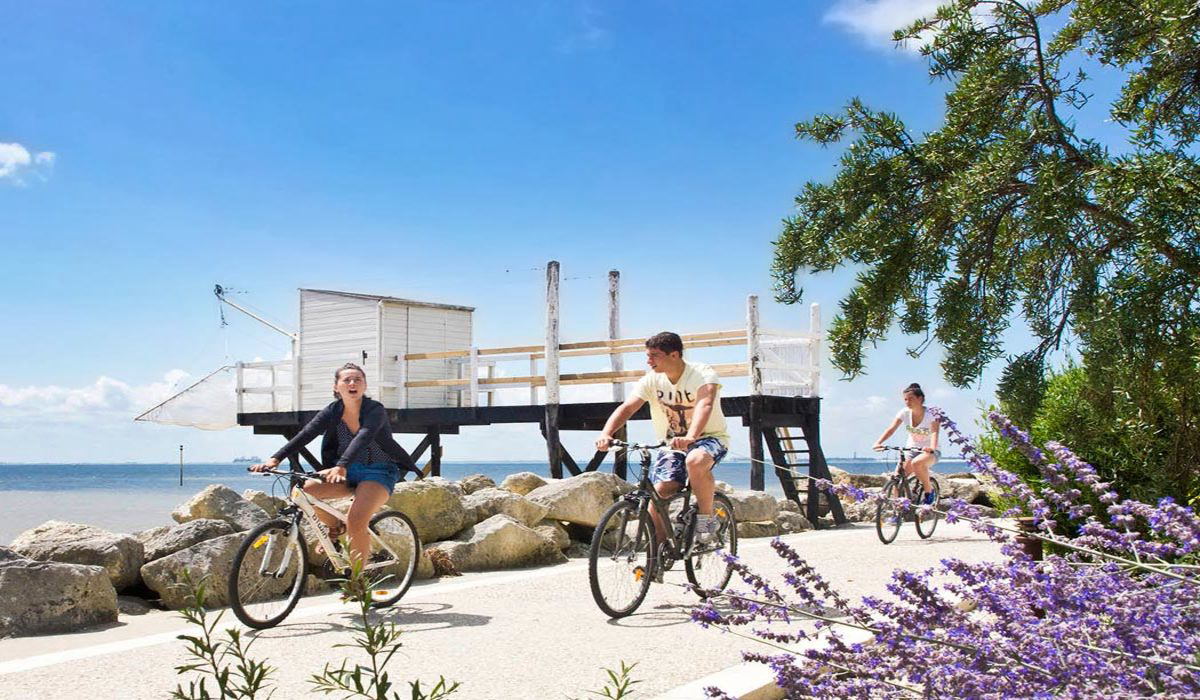 Bois Soleil Poitou-Charentes - Saint-Georges-de-Didonne visuel 3/9