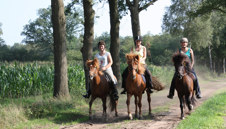 Borken am See Renania del Norte-Westfalia - borken visuel 5/6 Borken am See Renania del Norte-Westfalia - borken visuel 5/6