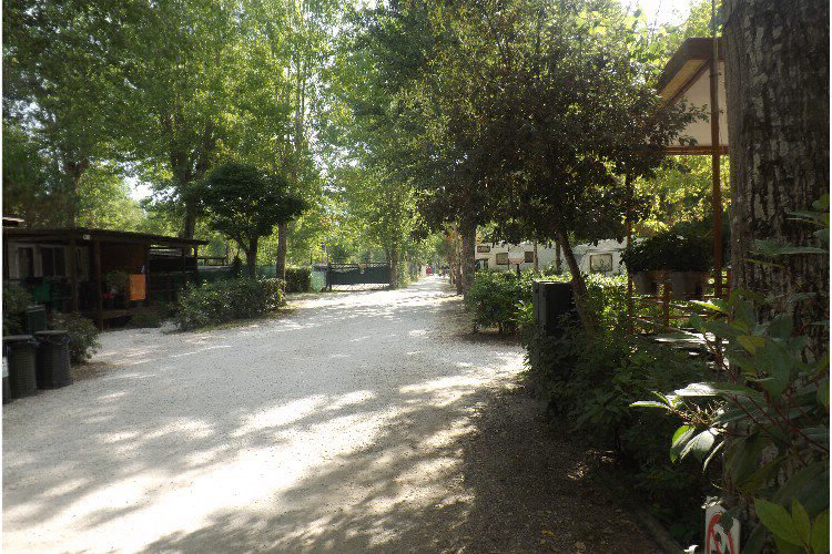 Bosco Verde Toscana - Torre del Lago Puccini visuel 2/11