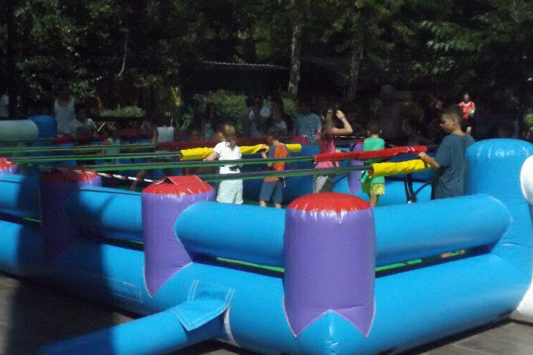 Bosco Verde Toscana - Torre del Lago Puccini visuel 3/11