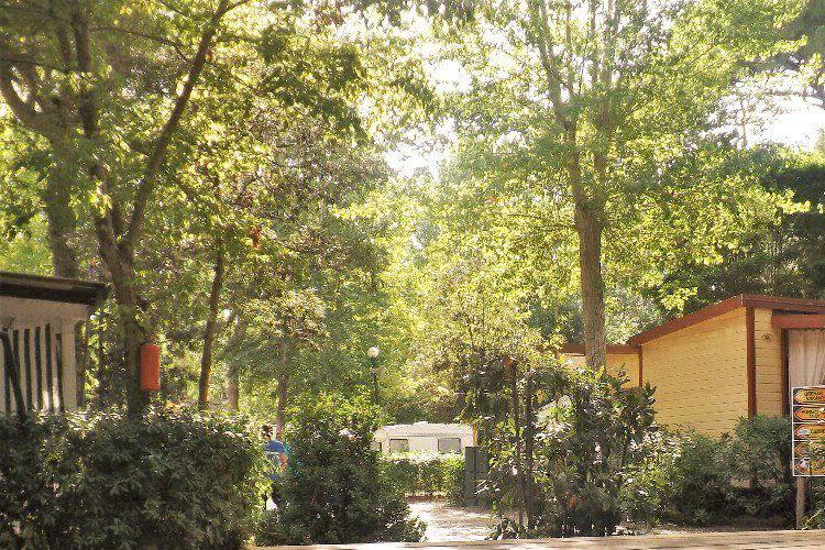 Bosco Verde Toscana - Torre del Lago Puccini visuel 8/11