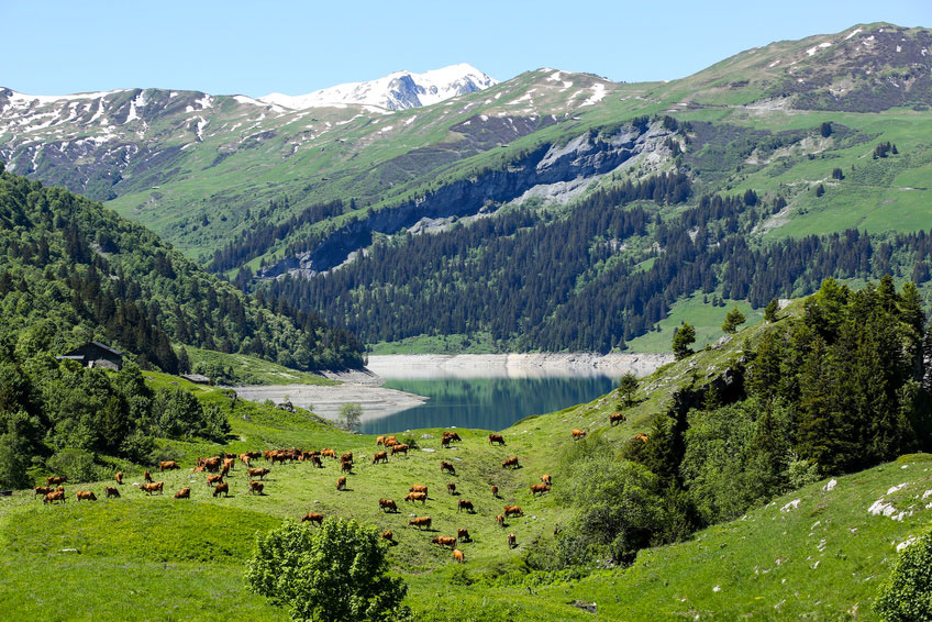 Bourg Saint Maurice Ródano-Alpes - Bourg-Saint-Maurice visuel 1/1 Bourg Saint Maurice Ródano-Alpes - Bourg-Saint-Maurice visuel 1/1