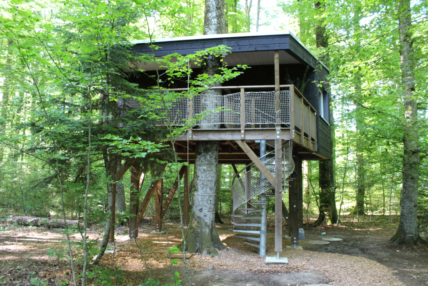 Cabanes du Mont Suiza del Noroeste - Coeuve visuel 1/1