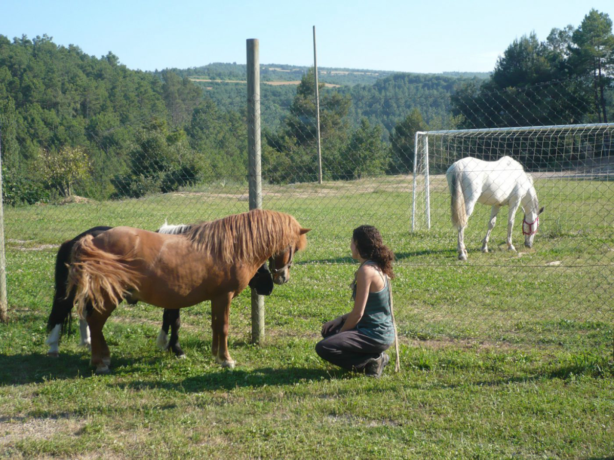 Cal Paradís Cataluña - salo visuel 3/3 Cal Paradís Cataluña - salo visuel 3/3