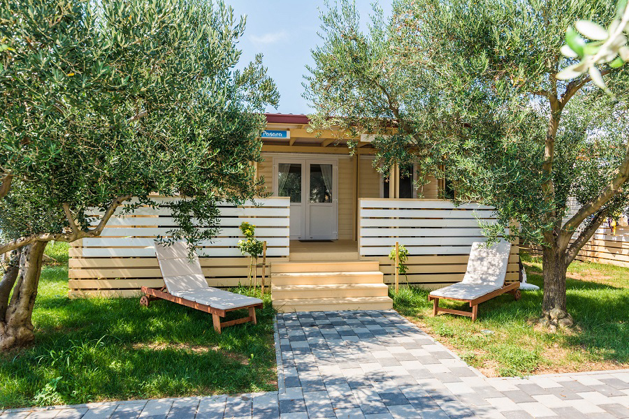 Bepo Dalmacia - Pakostane visuel 3/4