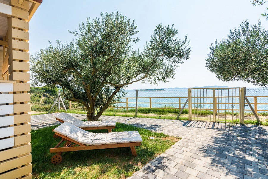 Bepo Dalmacia - Pakostane visuel 4/4