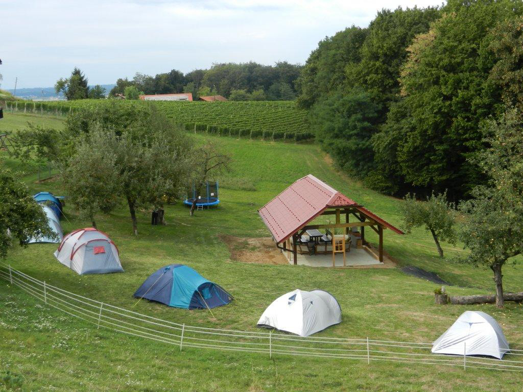 Camp Silva Estiria - Ljutomer visuel 2/3