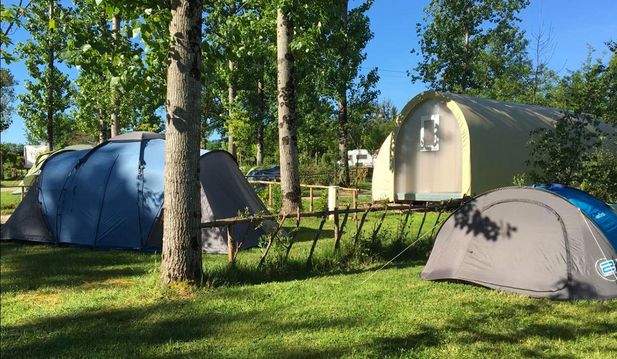 Campilô Países del Loira - Aubigny visuel 13/18