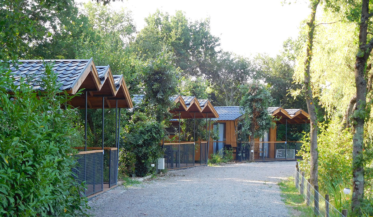 Campilô Países del Loira - Aubigny visuel 9/18