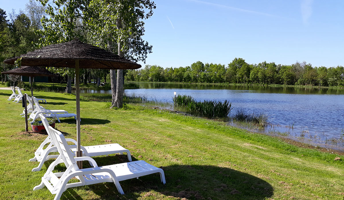 Campilô Países del Loira - Aubigny visuel 8/18