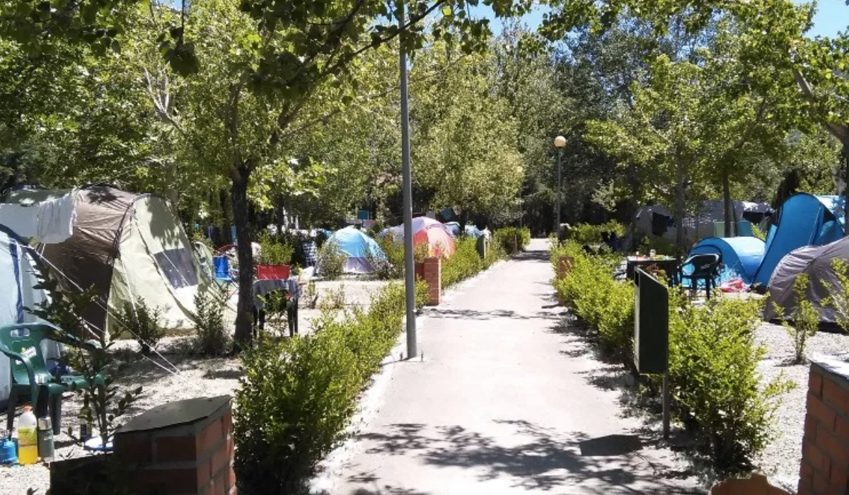 Aliaga Aragón - Aliaga visuel 1/2