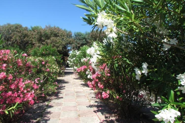 Camping Baia Paradiso Cerdeña - Badesi visuel 2/3