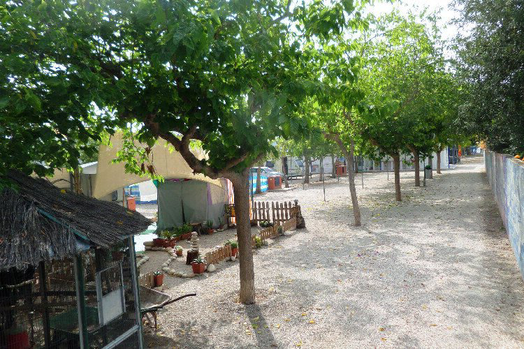 Camping Bon Sol Costa Blanca - El Campello visuel 5/6 Camping Bon Sol Costa Blanca - El Campello visuel 5/6