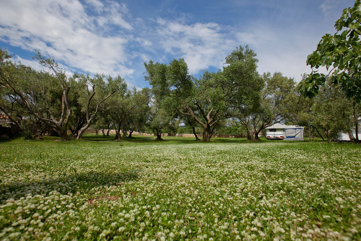 Camping Bor Condado de Primorje-Gorski Kotar - Krk visuel 3/3