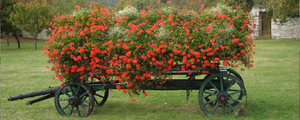 Camping Brajda Gorizia - Sežana visuel 3/3