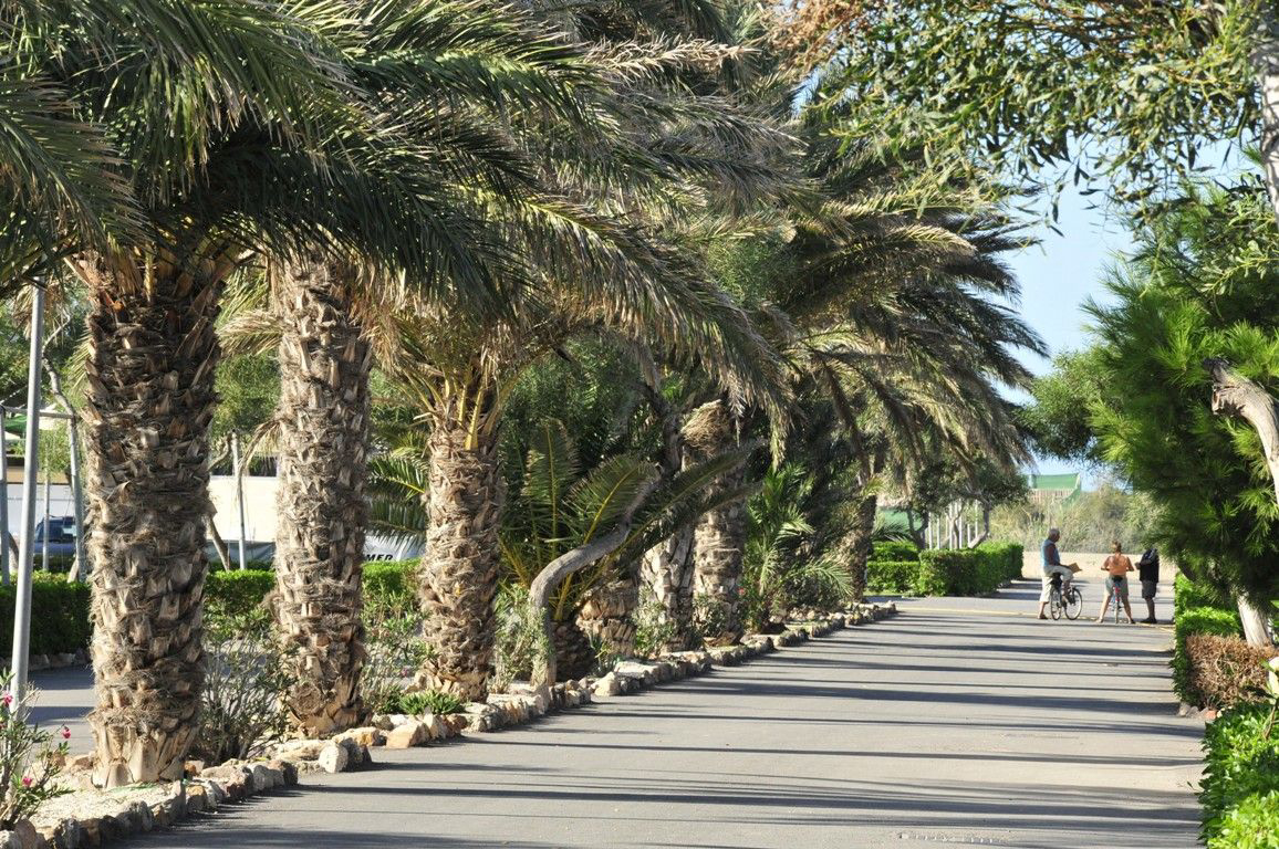 Camping Cabo de Gata Andalucía - Nijar visuel 8/11