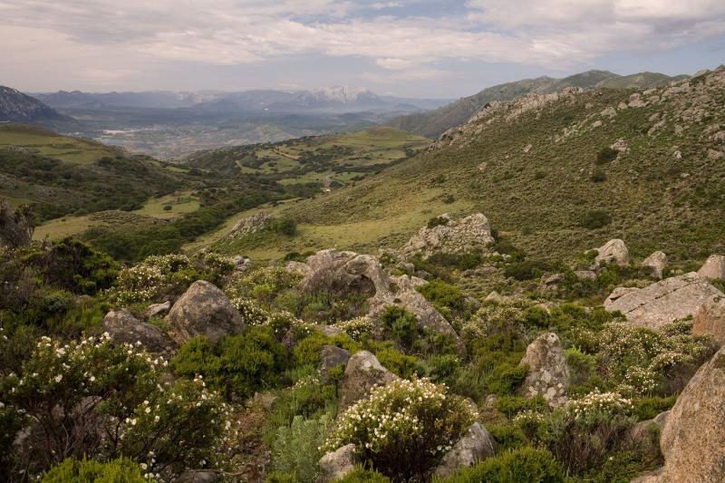 Camping Cala Ginepro Cerdeña - Orosei visuel 2/3