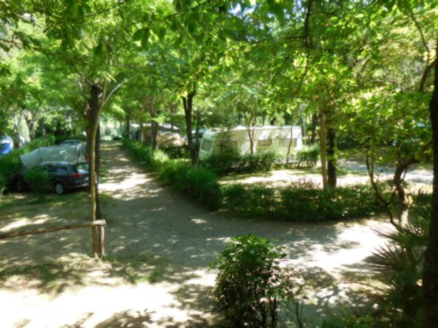 Camping Cinque Terre Liguria - levanto visuel 3/3 Camping Cinque Terre Liguria - levanto visuel 3/3