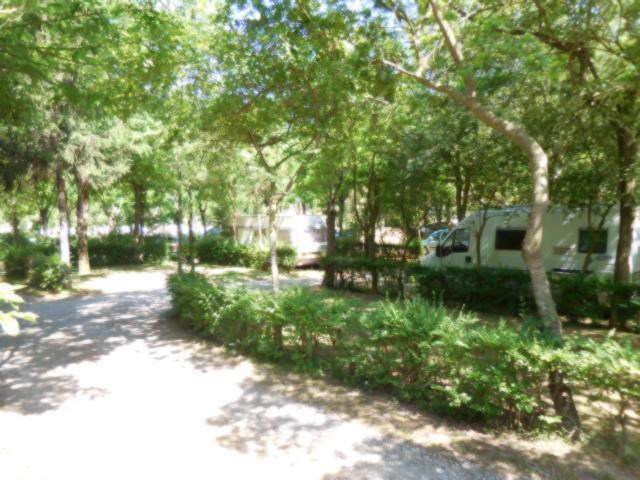 Camping Cinque Terre Liguria - levanto visuel 2/3 Camping Cinque Terre Liguria - levanto visuel 2/3