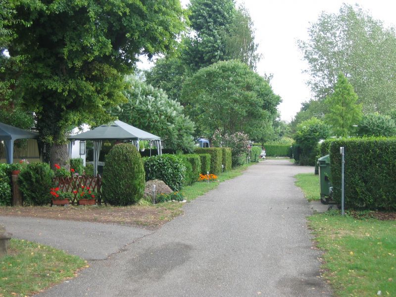 Camping du Staedly Alsacia - Roeschwoog visuel 5/10