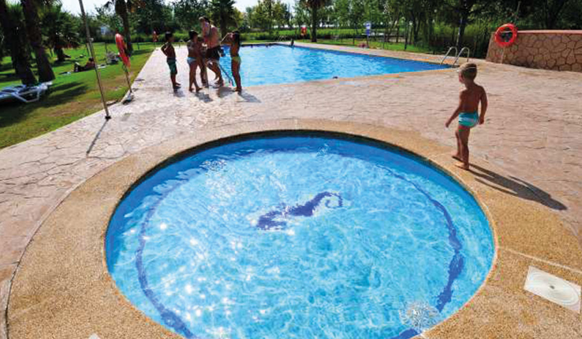 Eucaliptus Cataluña - Amposta visuel 2/3